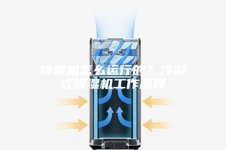 除濕機(jī)怎么運(yùn)行的？冷凝式除濕機(jī)工作原理