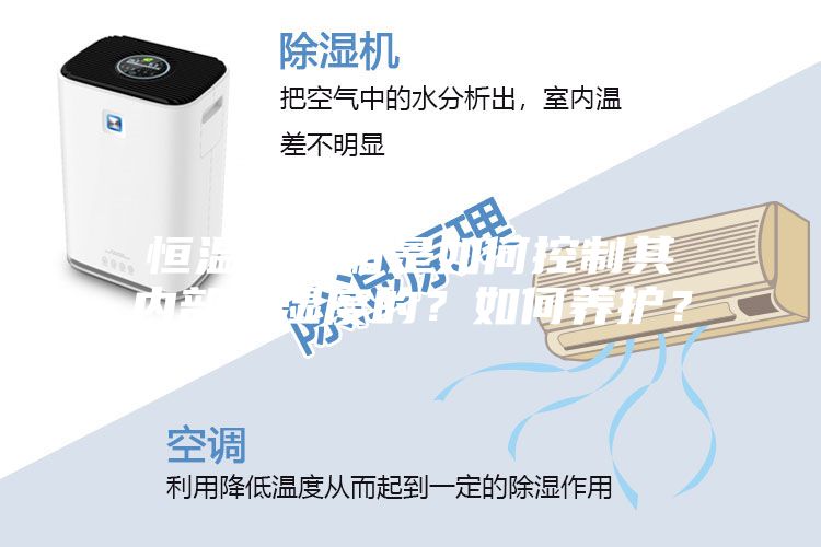恒溫恒濕箱是如何控制其內部溫濕度的？如何養護？