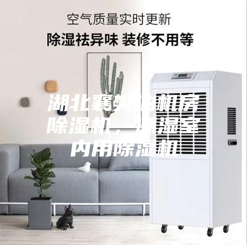 湖北襄樊油機房除濕機，潮濕室內用除濕機