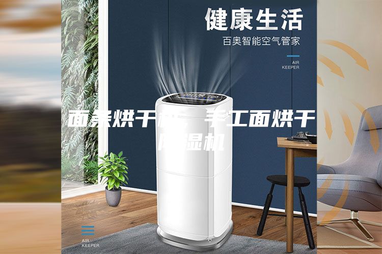 面條烘干機，手工面烘干除濕機