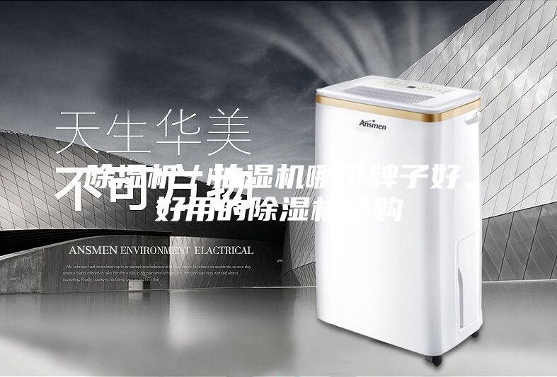除濕機(jī)／抽濕機(jī)哪個(gè)牌子好，好用的除濕機(jī)選購(gòu)