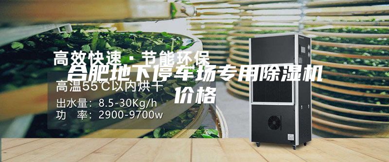 合肥地下停車場(chǎng)專用除濕機(jī)價(jià)格