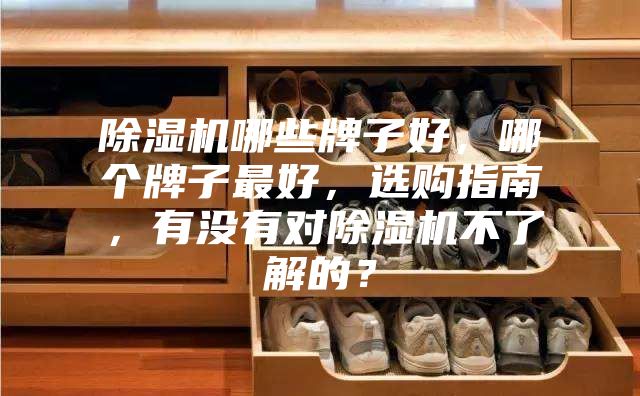 除濕機哪些牌子好，哪個牌子最好，選購指南，有沒有對除濕機不了解的？