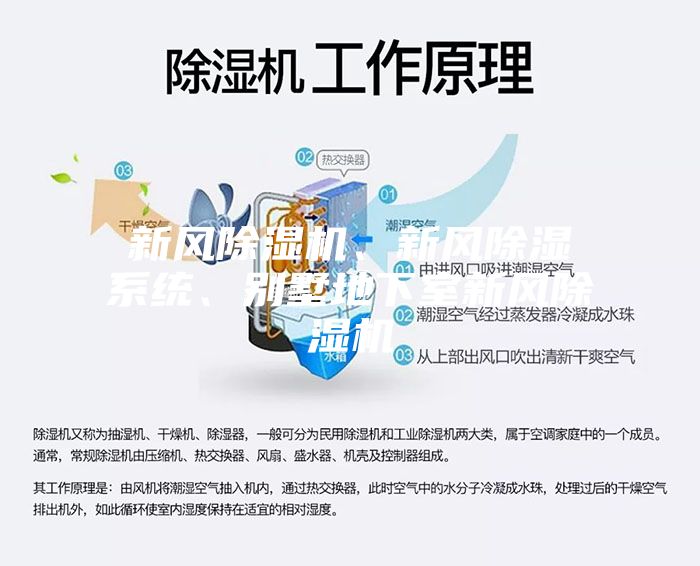 新風除濕機、新風除濕系統(tǒng)、別墅地下室新風除濕機