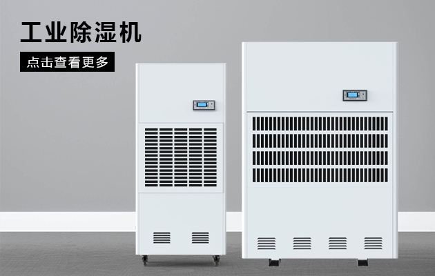 梅雨季回南天快到了，該如何強力除濕，把晴天裝進家？