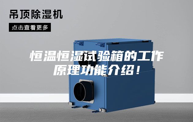 恒溫恒濕試驗箱的工作原理功能介紹！