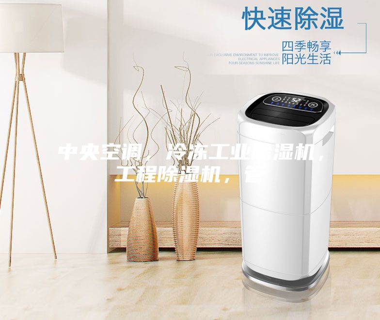 中央空調，冷凍工業除濕機，工程除濕機，管