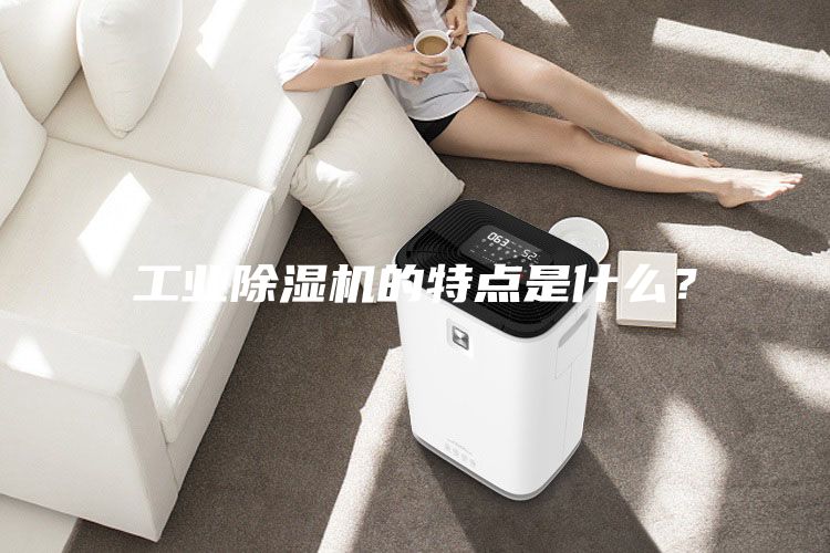 工業除濕機的特點是什么？