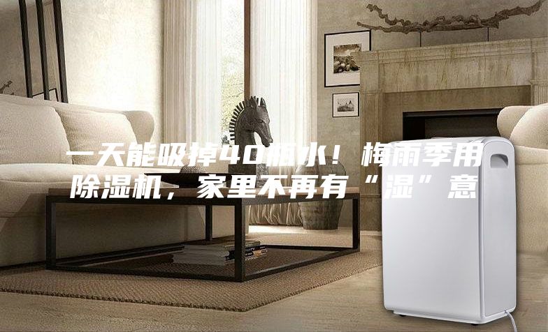 一天能吸掉40瓶水！梅雨季用除濕機，家里不再有“濕”意