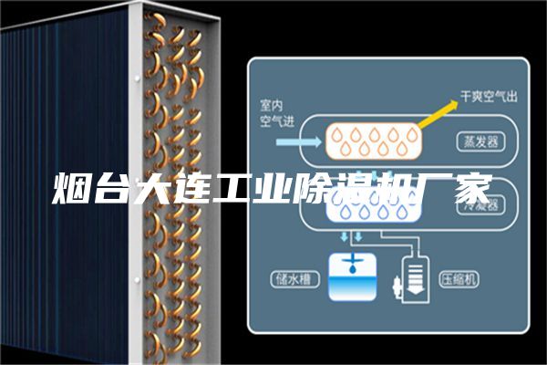 煙臺(tái)大連工業(yè)除濕機(jī)廠家