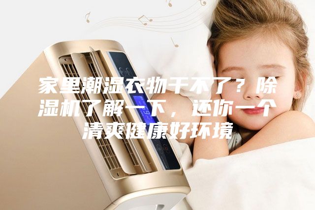 家里潮濕衣物干不了？除濕機了解一下，還你一個清爽健康好環境