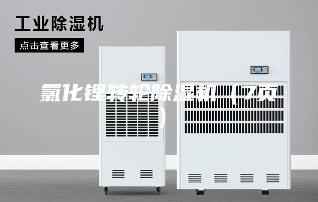 氯化鋰轉(zhuǎn)輪除濕機（7頁）