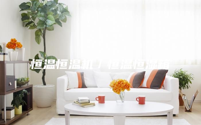 恒溫恒溫機/恒溫恒濕箱