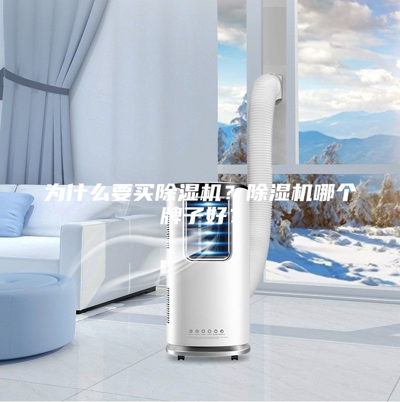 為什么要買除濕機?除濕機哪個牌子好?