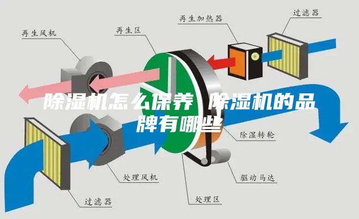 除濕機怎么保養 除濕機的品牌有哪些