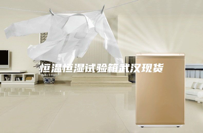 恒溫恒濕試驗箱武漢現貨