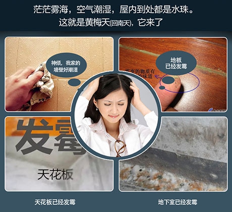 知否知否，國(guó)內(nèi)十大除濕機(jī)品牌