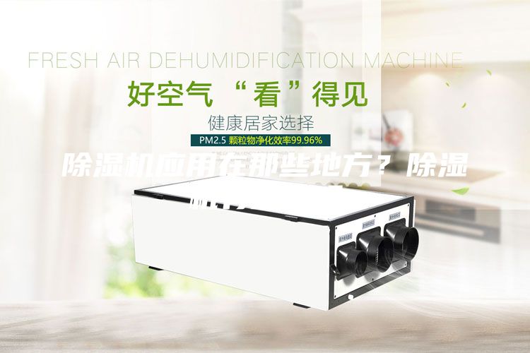 除濕機應用在那些地方？除濕機有效果嗎