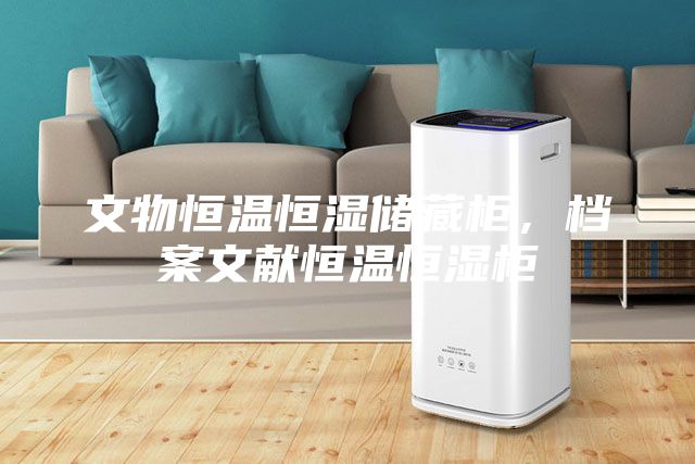 文物恒溫恒濕儲藏柜，檔案文獻恒溫恒濕柜