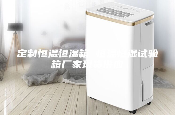 定制恒溫恒濕箱 恒溫恒濕試驗箱廠家現(xiàn)貨供應(yīng)