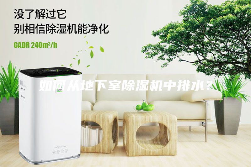 如何從地下室除濕機中排水？