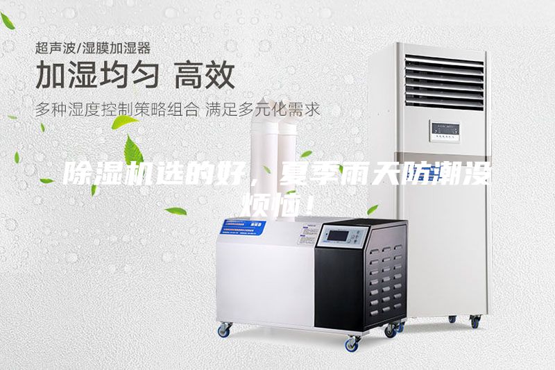 除濕機選的好，夏季雨天防潮沒煩惱！