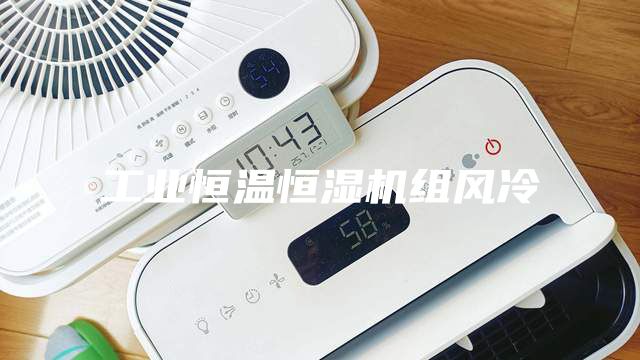工業(yè)恒溫恒濕機組風冷
