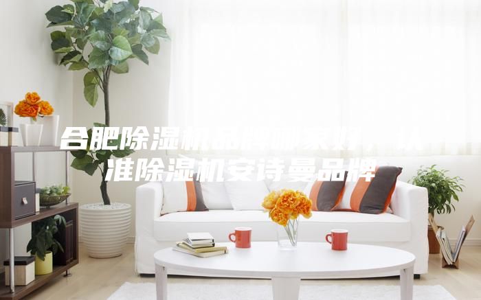 合肥除濕機品牌哪家好，認準除濕機安詩曼品牌