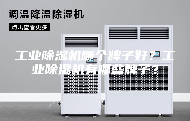 工業(yè)除濕機(jī)哪個(gè)牌子好？工業(yè)除濕機(jī)有哪些牌子？