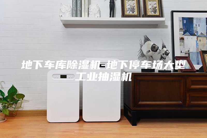 地下車庫除濕機-地下停車場大型工業抽濕機
