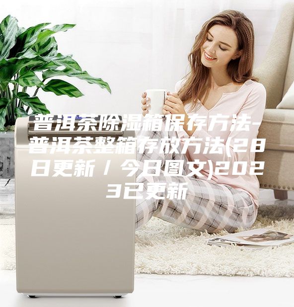 普洱茶除濕箱保存方法-普洱茶整箱存放方法(28日更新／今日圖文)2023已更新