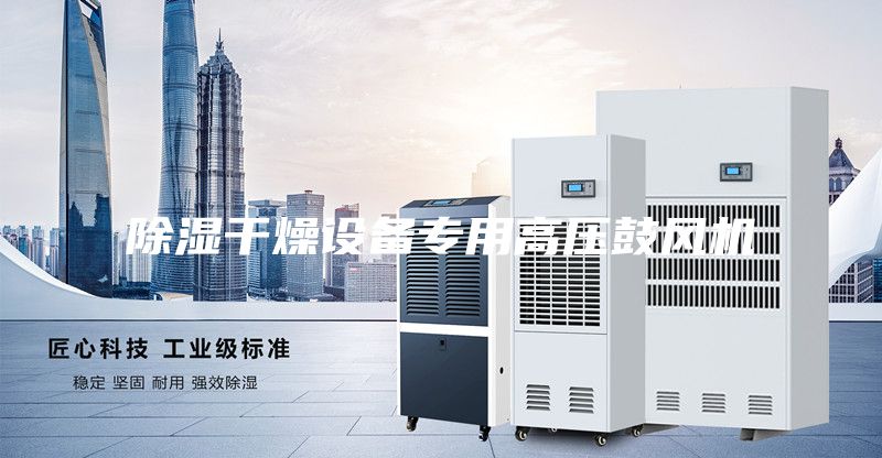 除濕干燥設備專用高壓鼓風機