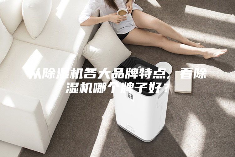 從除濕機各大品牌特點, 看除濕機哪個牌子好？