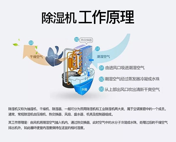 中藥材怎么烘干不變色？中藥材烘干用除濕機