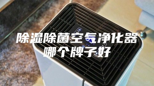 除濕除菌空氣凈化器哪個牌子好